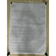 诺斯兰德理工学院 Media diploma